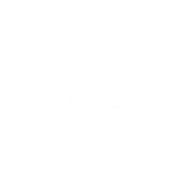 martin logan