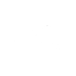 2n